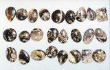 Lot: Polished Madagascar Black Opal Pendants - Pieces #138970-2
